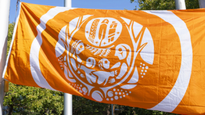 Survivor Flag