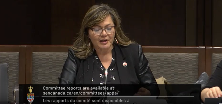 Comment:  Chief Rosanne Casimir’s recent appearance before the Senate Committee on Indigenous Peoples